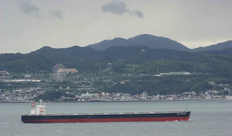 CAPE TREASURE Bulk Carrier IMO 9403607 photo 4
