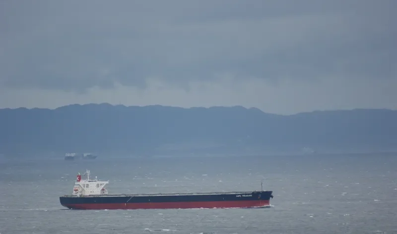 CAPE TREASURE Bulk Carrier IMO 9403607 photo 5