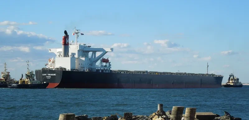CAPE TREASURE Bulk Carrier IMO 9403607 photo 6