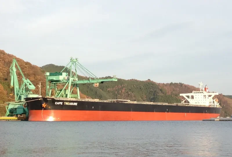 CAPE TREASURE Bulk Carrier IMO 9403607 photo 7