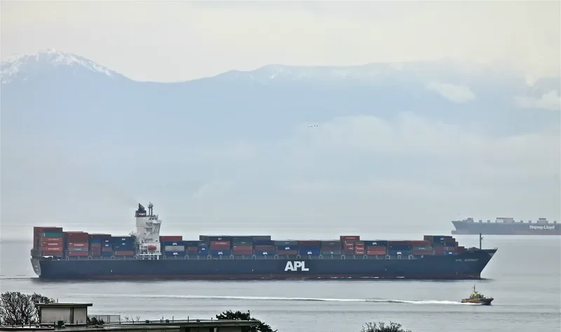 BHUDTHI BHUM Container Ship IMO 9403621 photo 9