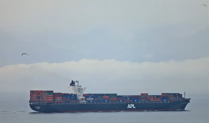 BHUDTHI BHUM Container Ship IMO 9403621 photo 10