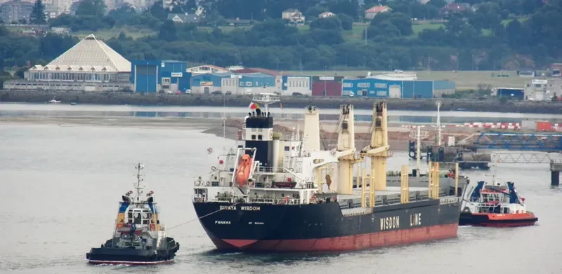 SIRAYA WISDOM Bulk Carrier IMO 9403841