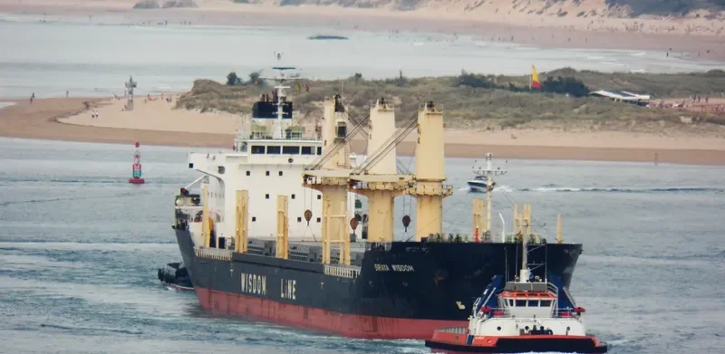 SIRAYA WISDOM Bulk Carrier IMO 9403841 photo 2