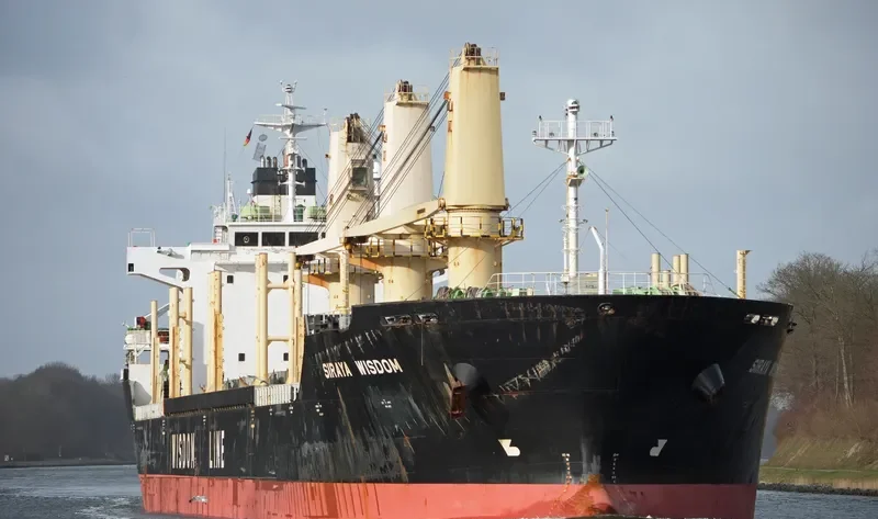 SIRAYA WISDOM Bulk Carrier IMO 9403841 photo 3