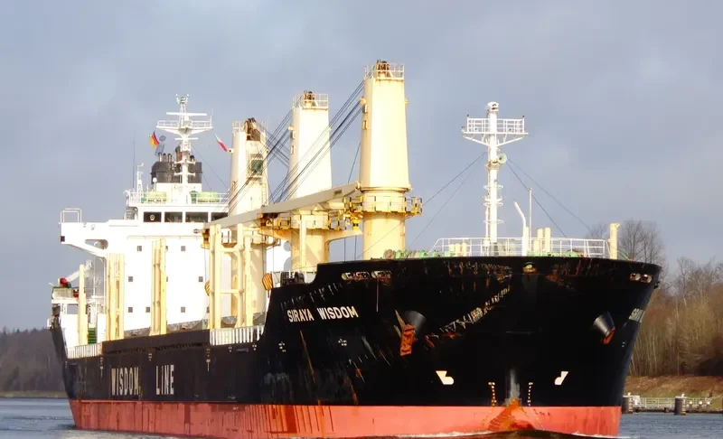 SIRAYA WISDOM Bulk Carrier IMO 9403841 photo 9