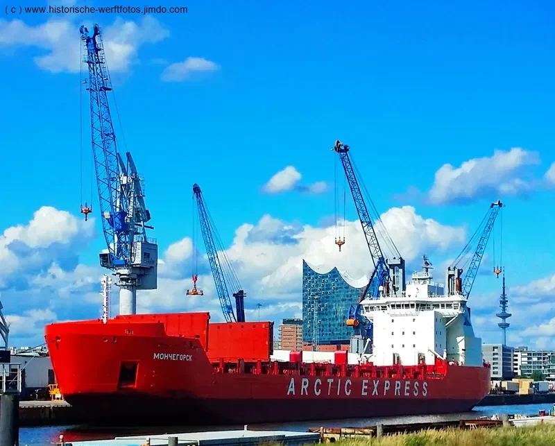 MONCHEGORSK Container Ship IMO 9404015 photo 5