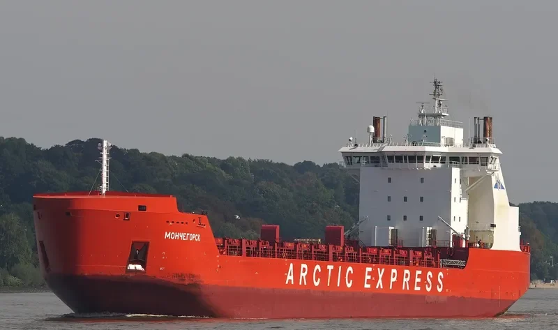MONCHEGORSK Container Ship IMO 9404015 photo 8