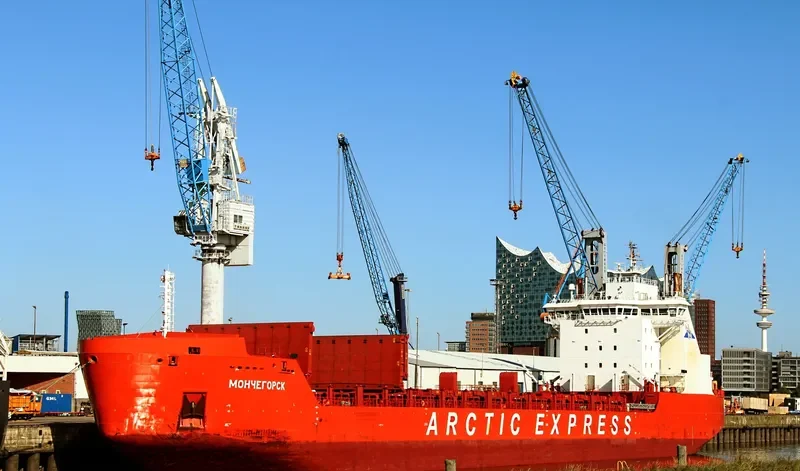 MONCHEGORSK Container Ship IMO 9404015 photo 10