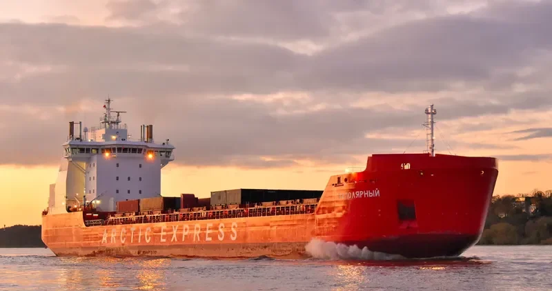 ZAPOLYARNYY Container Ship IMO 9404027 photo 4
