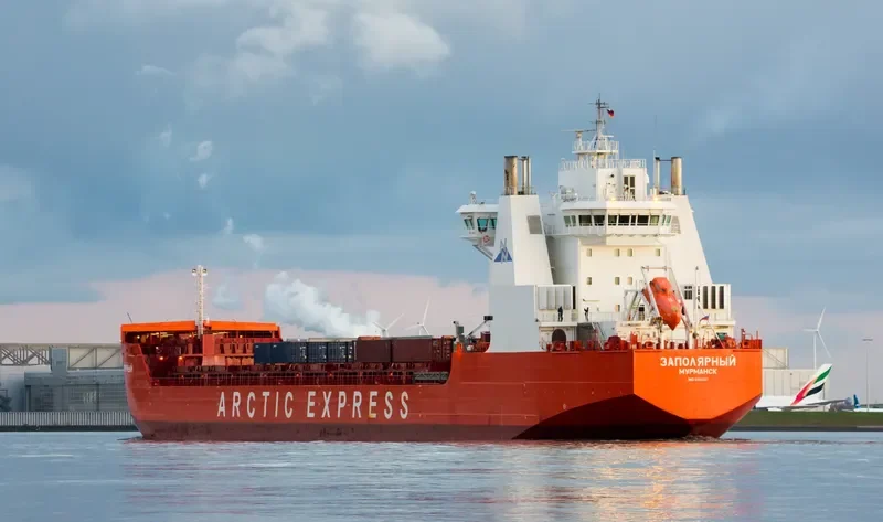 ZAPOLYARNYY Container Ship IMO 9404027 photo 5