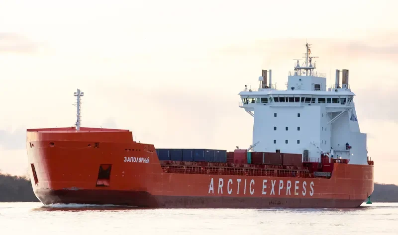 ZAPOLYARNYY Container Ship IMO 9404027 photo 6