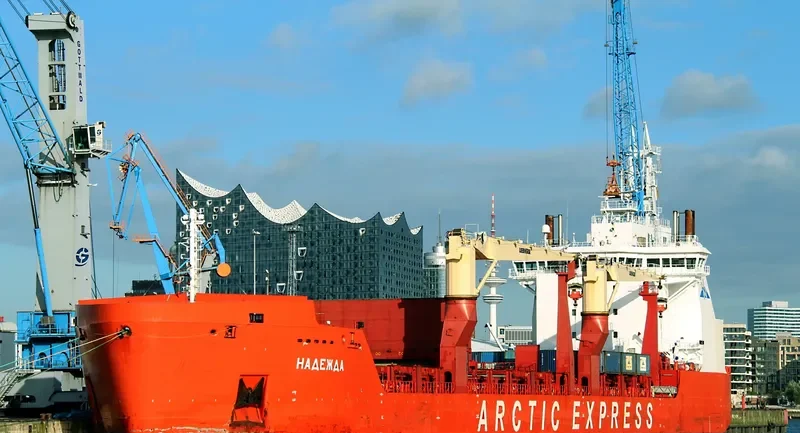 NADEZHDA Container Ship IMO 9404041 photo 2