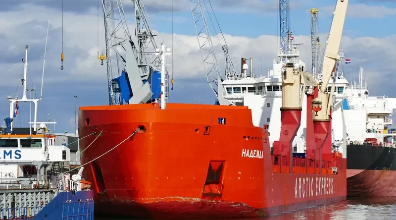 NADEZHDA Container Ship IMO 9404041 photo 8