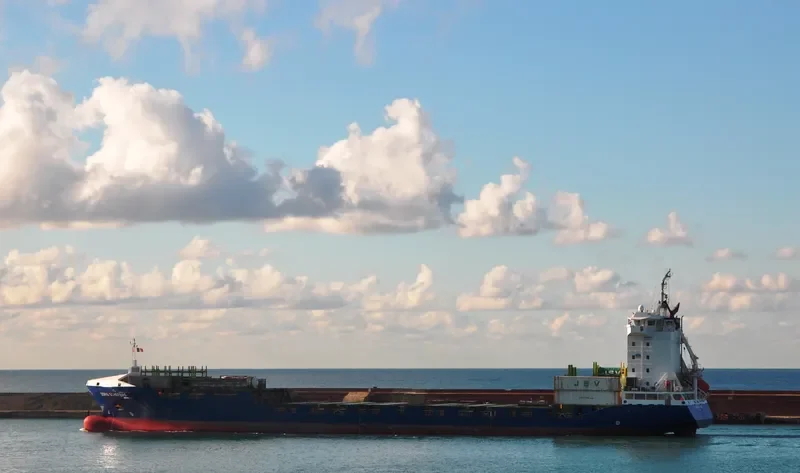 DORIS SCHEPERS Container Ship IMO 9404065 photo 6