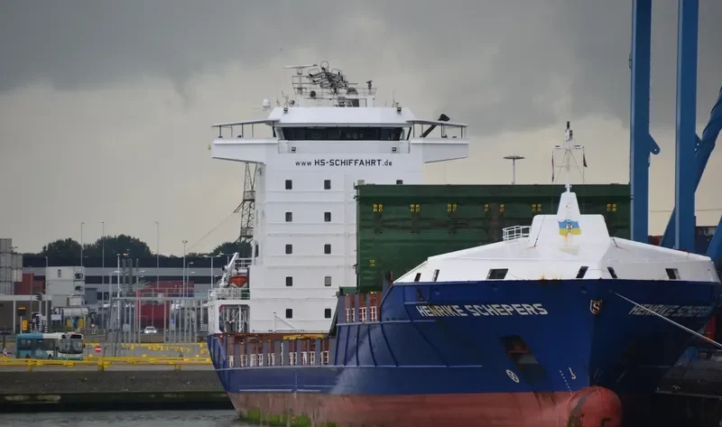 HENRIKE SCHEPERS Container Ship IMO 9404091 photo 5