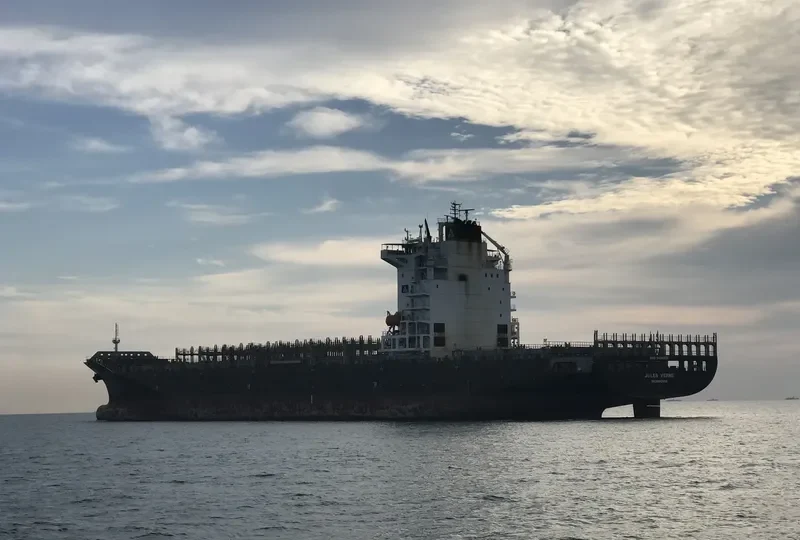 NAVIOS TEMPO Container Ship IMO 9404209 photo 2