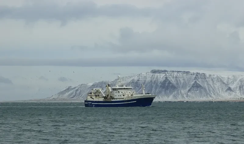 NORDBORG General Cargo IMO 9404247