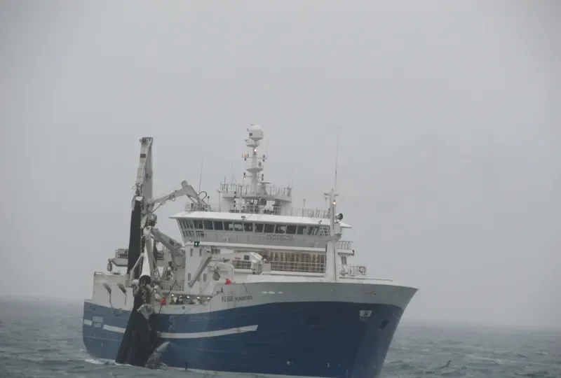 NORDBORG General Cargo IMO 9404247 photo 4
