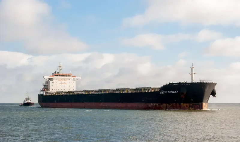 LUCKY SUNDAY Bulk Carrier IMO 9404338 photo 2