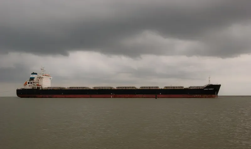LUCKY SUNDAY Bulk Carrier IMO 9404338 photo 7