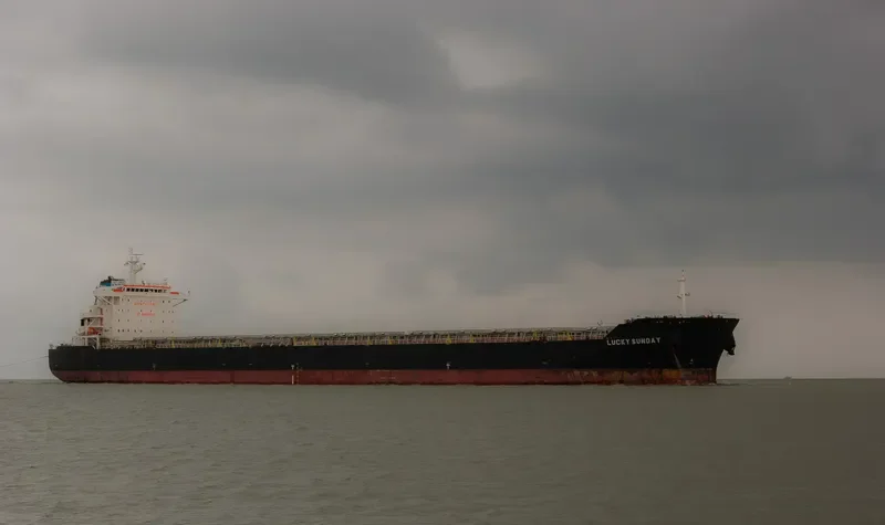 LUCKY SUNDAY Bulk Carrier IMO 9404338 photo 8