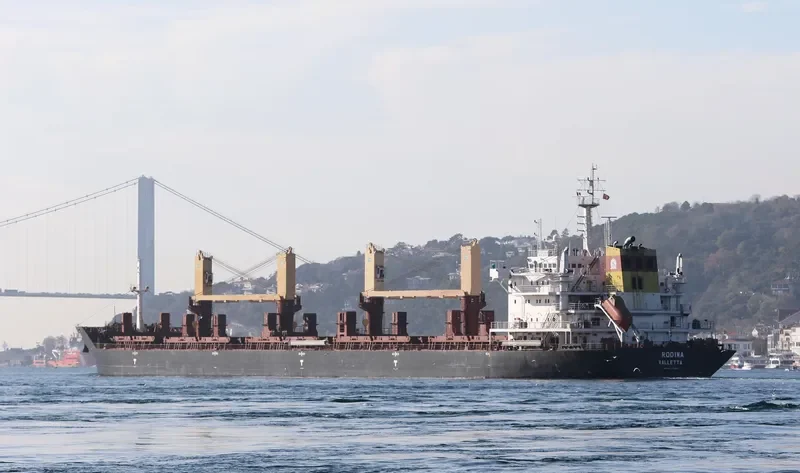 RODINA Bulk Carrier IMO 9404429 photo 2
