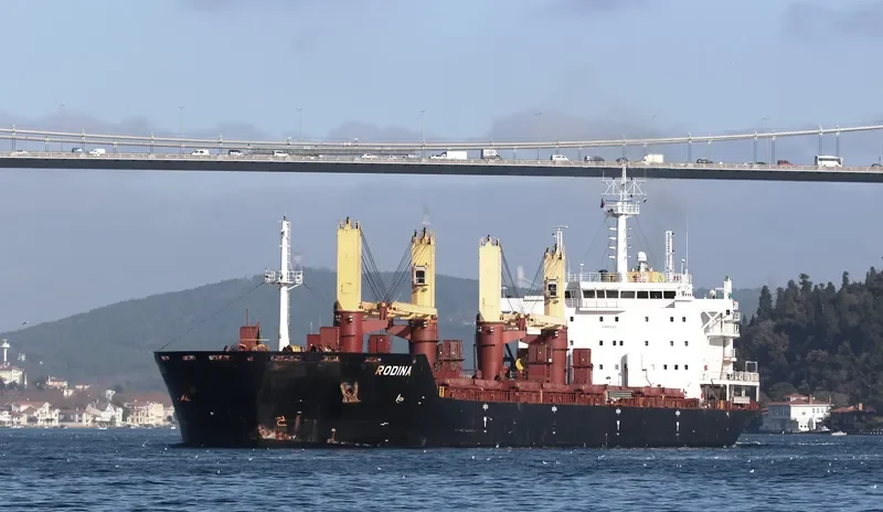 RODINA Bulk Carrier IMO 9404429 photo 3