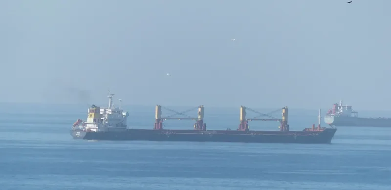 RODINA Bulk Carrier IMO 9404429 photo 4