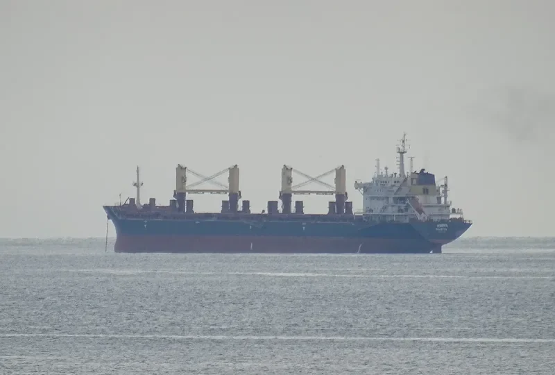 RODINA Bulk Carrier IMO 9404429 photo 5