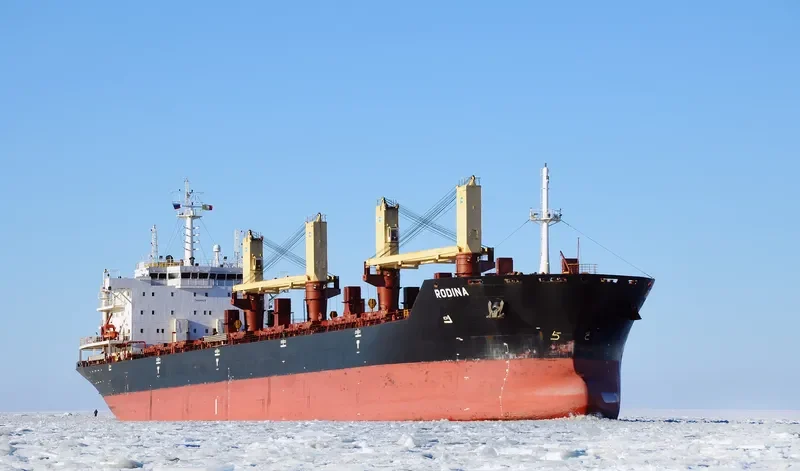 RODINA Bulk Carrier IMO 9404429 photo 6