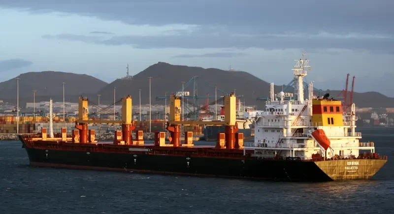 RODINA Bulk Carrier IMO 9404429 photo 7