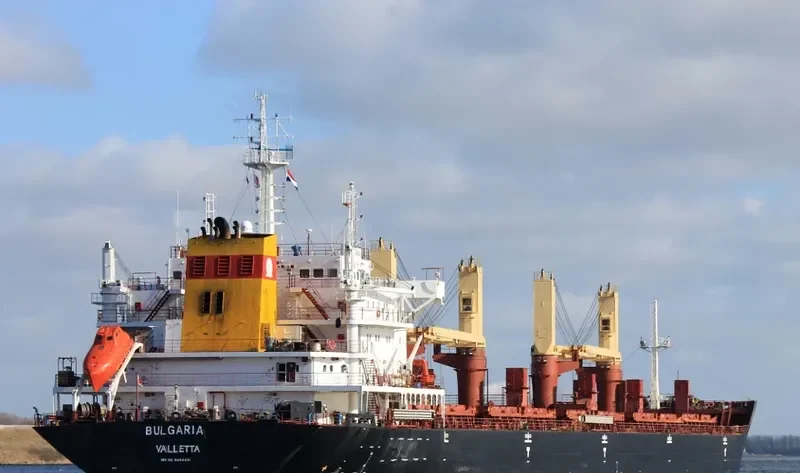 RODINA Bulk Carrier IMO 9404429 photo 9