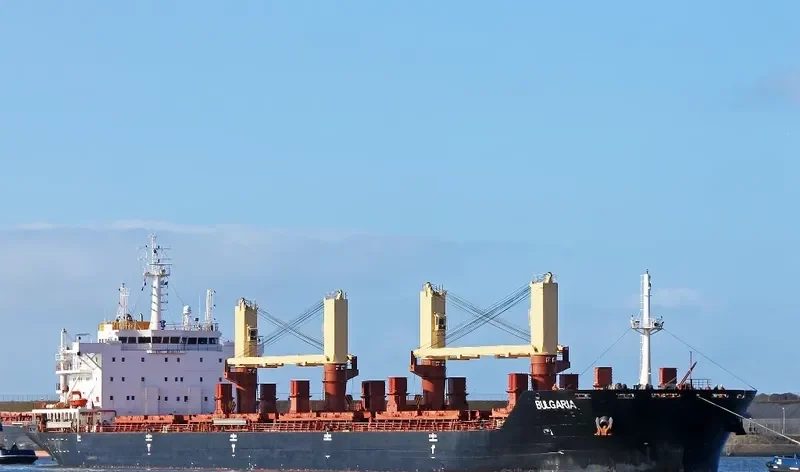 RODINA Bulk Carrier IMO 9404429 photo 10