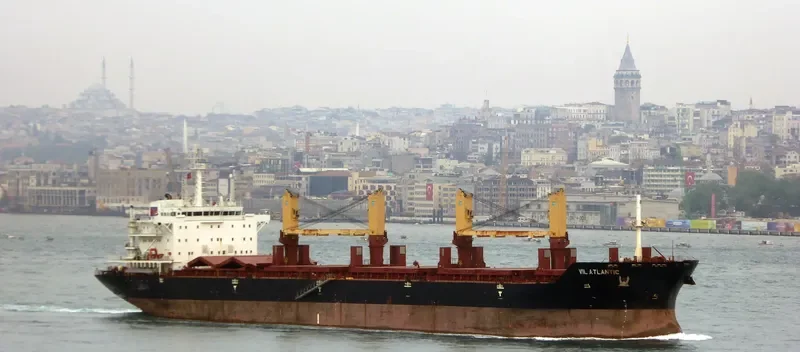 VIL ATLANTIC Bulk Carrier IMO 9404443 photo 5