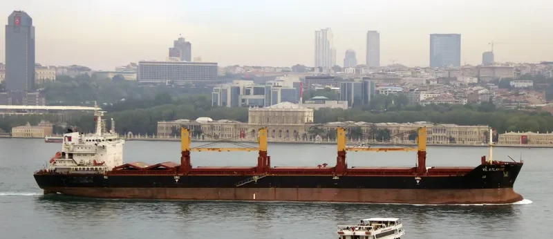 VIL ATLANTIC Bulk Carrier IMO 9404443 photo 6