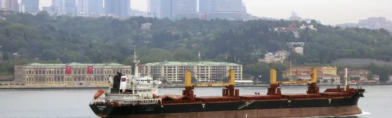 VIL ATLANTIC Bulk Carrier IMO 9404443 photo 7