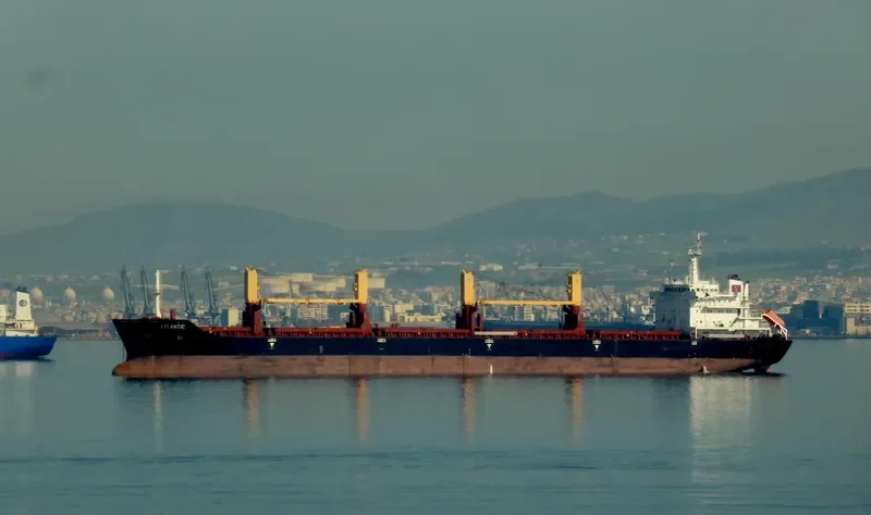VIL ATLANTIC Bulk Carrier IMO 9404443 photo 8