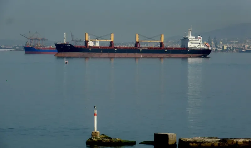 VIL ATLANTIC Bulk Carrier IMO 9404443 photo 9