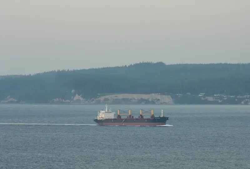 VIL ATLANTIC Bulk Carrier IMO 9404443 photo 10