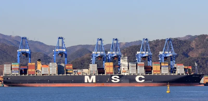 MSC DANIT Container Ship IMO 9404649