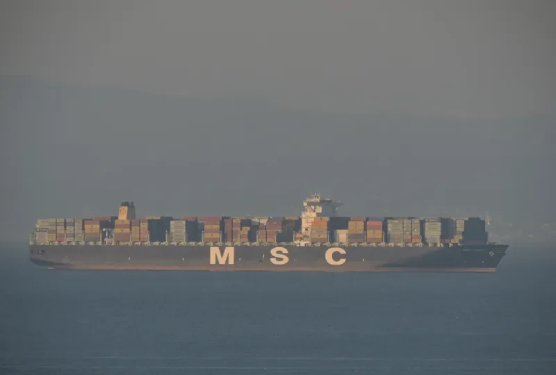 MSC DANIT Container Ship IMO 9404649 photo 2
