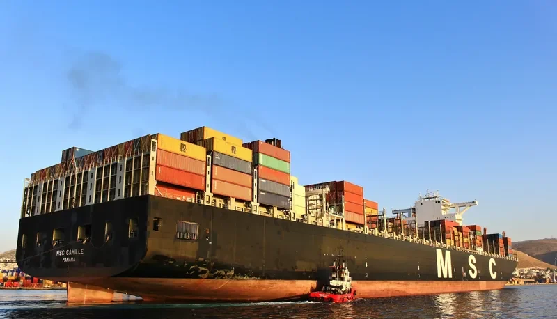 MSC CAMILLE Container Ship IMO 9404651 photo 2