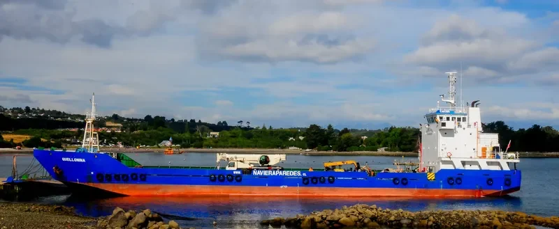 QUELLONINA General Cargo IMO 9404754
