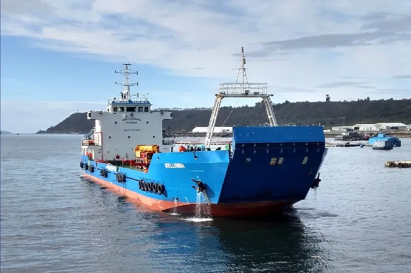 QUELLONINA General Cargo IMO 9404754 photo 2