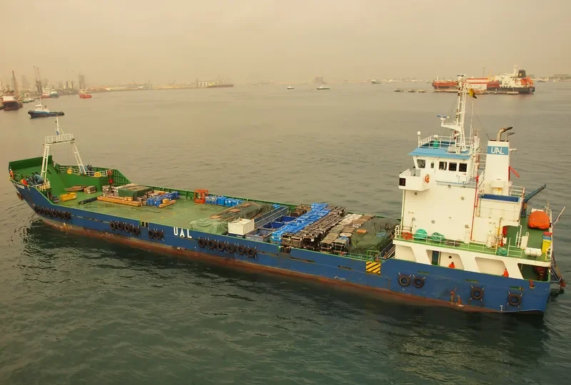 QUELLONINA General Cargo IMO 9404754 photo 4