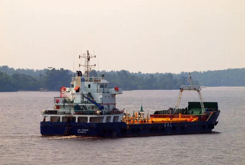 QUELLONINA General Cargo IMO 9404754 photo 8
