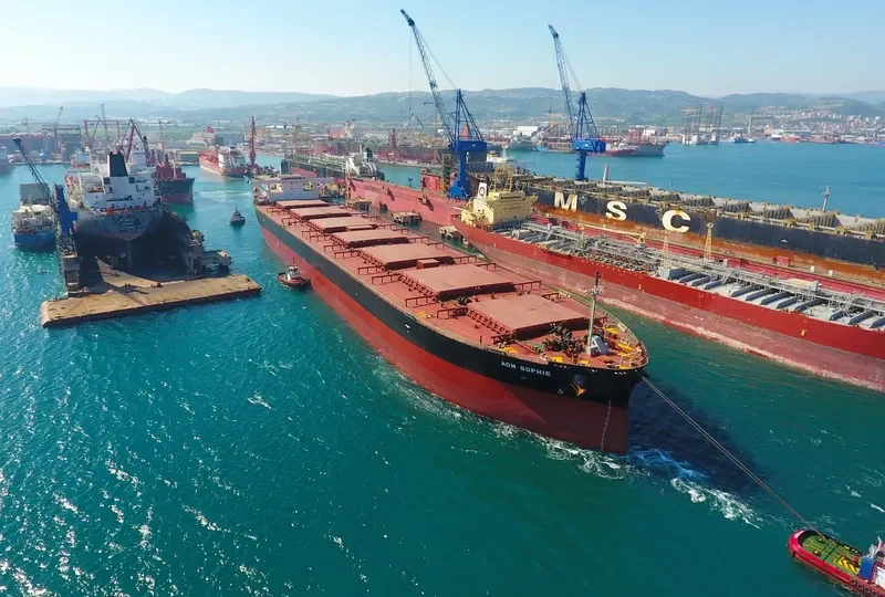 AOM SOPHIE Bulk Carrier IMO 9404766 photo 3