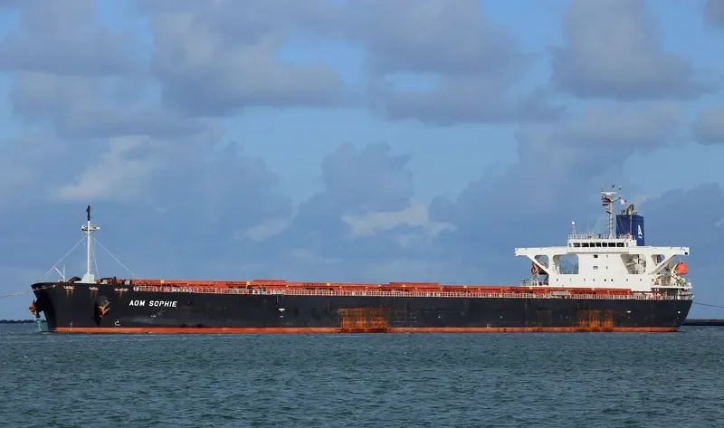 AOM SOPHIE Bulk Carrier IMO 9404766 photo 6