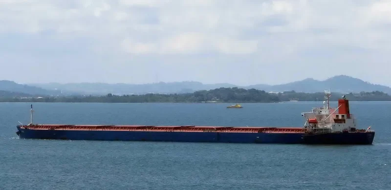 UNTA Bulk Carrier IMO 9404778 photo 6